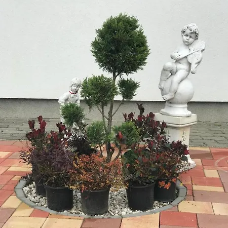 Apartman Lovasi * Bük